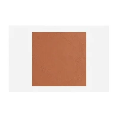 Terra Cotta Textured Wall Paint