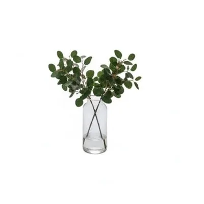 Clear Glass Vase With Eucalyptus