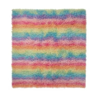 Multi-colored Shag Area Rug