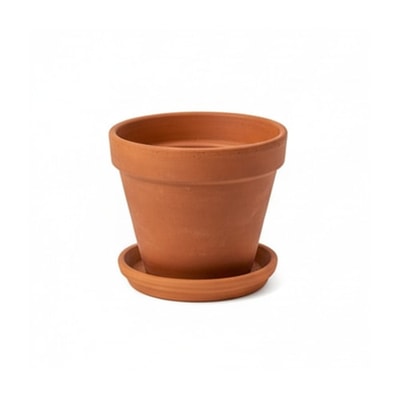 Terracotta Herb Pot Planter
