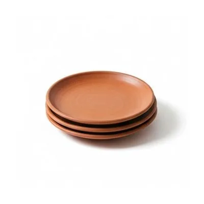 Terracotta Dinner Plates