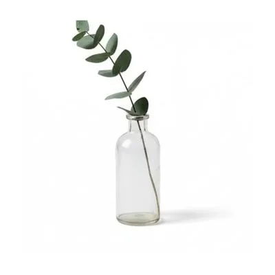 Clear Glass Bud Vase
