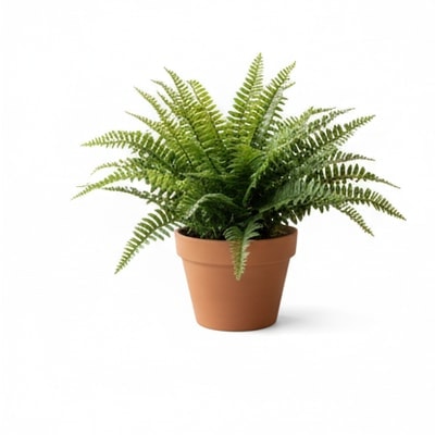 Artificial Fern Plant Potted